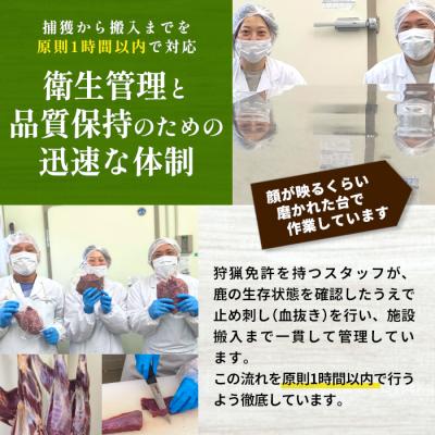 ふるさと納税 設楽町 国産 鹿肉 味付け肉 230g×1袋 シカ 鹿肉 冷凍 ジビエ 鹿 肉 |  | 03