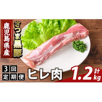 ふるさと納税 霧島市 <3回定期便>鹿児島県産さつま黒豚 ヒレ肉(計1.2kg)[ふるさと産直バザール]K-484-D