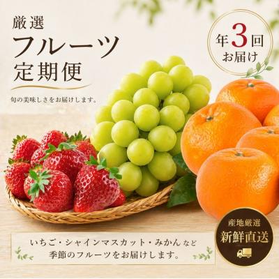 ふるさと納税 豊後高田市 [数量限定]旬の特選フルーツ定期便 (シャインマスカット・イチゴ・みかん) 全3回