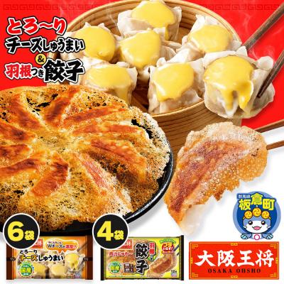 ふるさと納税 板倉町 大阪王将 羽根つき餃子4袋セット×とろ〜りチーズしゅうまい 6袋セット|13_nnb-141001