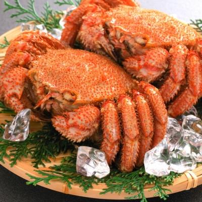 ふるさと納税 大槌町 [令和9年発送先行予約]訳あり 三陸産!活毛ガニ 1kg(3〜4杯)[2027年2月〜4月発送]