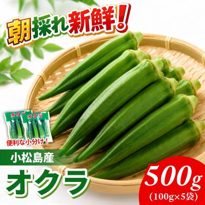 ふるさと納税 小松島市 新鮮 朝採れ オクラ 500g 夏バテ防止 産地直送 小分け おくら 冷蔵便 小松島市