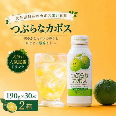 ふるさと納税 豊後高田市 つぶらなかぼす(190ml×30本) 2ケース | かぼすジュース 柑橘系