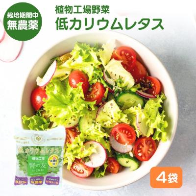 ふるさと納税 加西市 レタス 低カリウムレタス 4個入り カリウム85%カット 洗わず食べられる[No5698-2796]