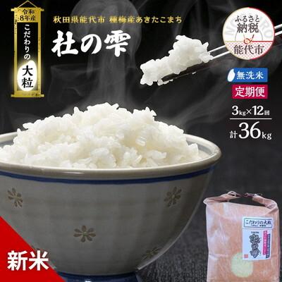 ふるさと納税 能代市 新米 令和8年産 定期 無洗米 秋田県産 あきたこまち 3kg 全12回