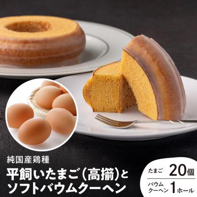 ふるさと納税 東根市 平飼いたまご 高擶20個(破損補償含む) &amp; ソフトバウムクーヘン 萌芽1ホール hi071-002