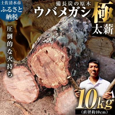 ふるさと納税 土佐清水市 ウバメガシ極太薪 10kg 直径約10cm 最低4本保証 焚き火 キャンプ 暖炉[R01658]