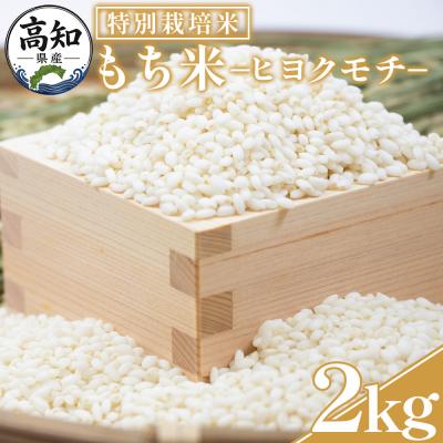 ふるさと納税 香南市 [令和8年産]高知県香南市産 特別栽培米 もち米 2kg nu-0017