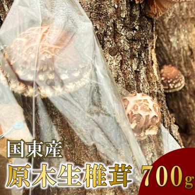 ふるさと納税 国東市 [先行受付]国東産 原木生しいたけ 700g_2767R