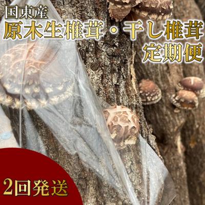 ふるさと納税 国東市 [先行受付]原木生椎茸と干し椎茸の定期便 計2回発送_2768R-1