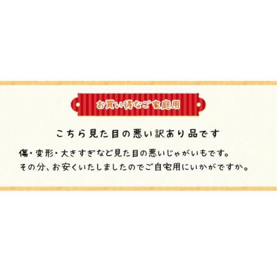 ふるさと納税 ニセコ町 早期受付・数量限定 北海道ニセコ町 訳ありじゃがいも北あかり10kg　2026年産 |  | 01