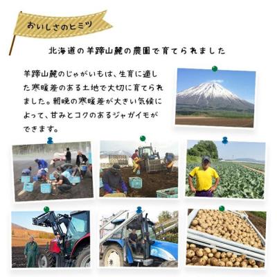 ふるさと納税 ニセコ町 早期受付・数量限定 北海道ニセコ町 訳ありじゃがいも北あかり10kg　2026年産 |  | 02
