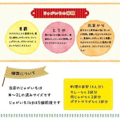 ふるさと納税 ニセコ町 早期受付・数量限定 北海道ニセコ町 訳ありじゃがいも北あかり10kg　2026年産 |  | 03