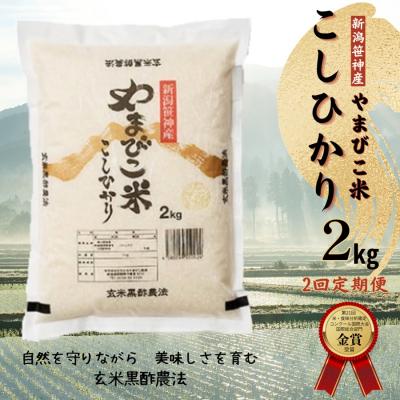 ふるさと納税 阿賀野市 [令和7年産][2か月定期便]コシヒカリ「やまびこ米」2kg×2回