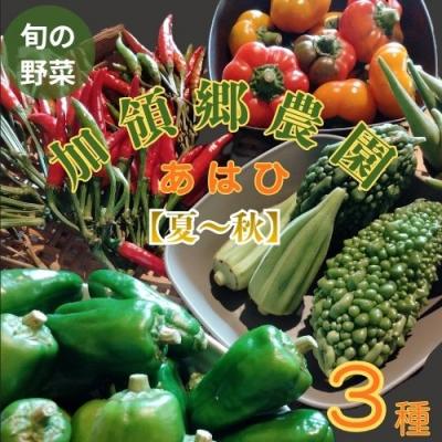 ふるさと納税 奈半利町 高知の自然の恵みたっぷりこだわり野菜ボックス(夏〜秋) 130002