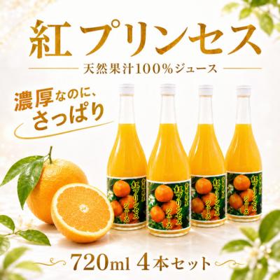 ふるさと納税 愛南町 紅プリンセスジュース ストレート 720ml × 4本 中山農園