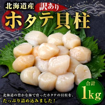 ふるさと納税 釧路市 [ 訳あり ] 北海道産 ホタテ貝柱 冷凍 500g × 2