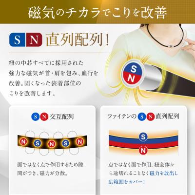 ふるさと納税 京都市 【ファイテン】RAKUWA磁気チタンネックレス(管理医療機器)メタルブラック<50cm> |  | 01