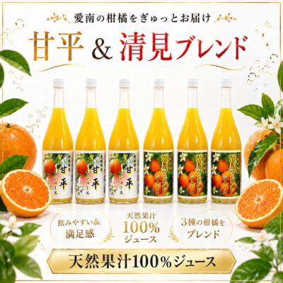 ふるさと納税 愛南町 清見ブレンドジュース 甘平ジュース ストレート 各720ml × 3本 6本セット 中山農園