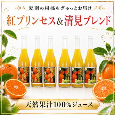 ふるさと納税 愛南町 清見ブレンドジュース 紅プリンセスジュース ストレート 各720ml × 3本 6本セット 中山農園