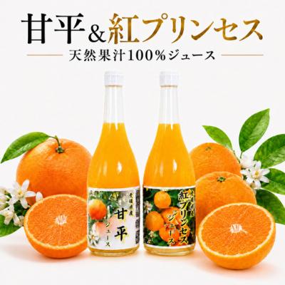 ふるさと納税 愛南町 紅プリンセスジュース 甘平ジュース ストレート 各720ml × 1本 2本セット 中山農園