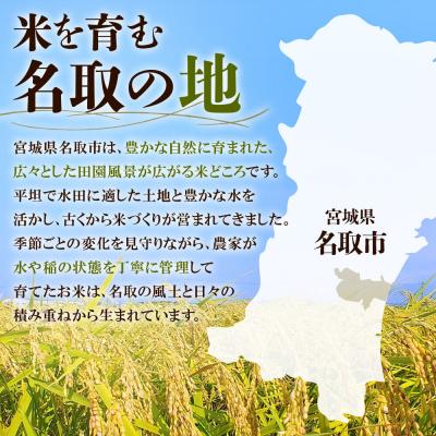 ふるさと納税 名取市 令和7年産 宮城県名取市産 ひとめぼれ 白米 10kg|21_kkn-051001 |  | 02