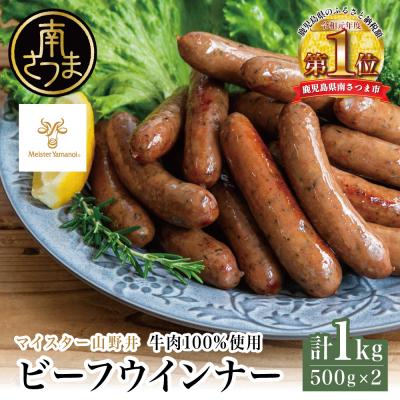 ふるさと納税 南さつま市 [マイスター山野井]ビーフウインナー 500g×2P 計1kg
