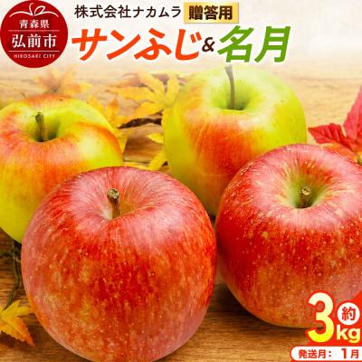 ふるさと納税 弘前市 りんご サンふじ・名月[贈答用]約3kg(9〜12玉程度)先行受付|24_nmk-030301bf