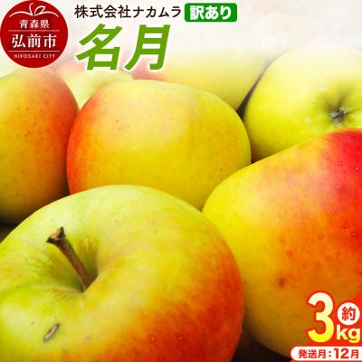 ふるさと納税 弘前市 りんご 名月[訳あり]約3kg(8〜13玉程度)先行受付|24_nmk-040301ae