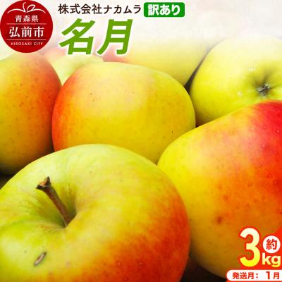 ふるさと納税 弘前市 りんご 名月[訳あり]約3kg(8〜13玉程度)先行受付|24_nmk-040301af