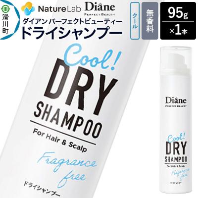 ふるさと納税 滑川町 ダイアン ドライシャンプー クール 無香料 95g×1個|19_ntl-400101