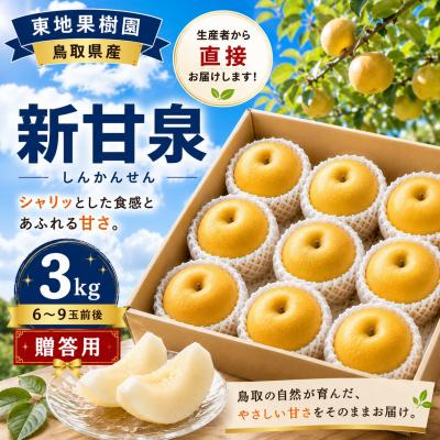 ふるさと納税 湯梨浜町 新甘泉3kg◆東地果樹園◆(363M.)