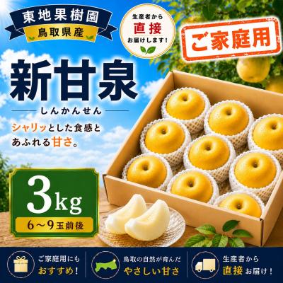 ふるさと納税 湯梨浜町 新甘泉3kg〔ご家庭用〕◆東地果樹園◆(364M.)