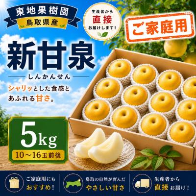 ふるさと納税 湯梨浜町 新甘泉5kg〔ご家庭用〕◆東地果樹園◆(366M.)