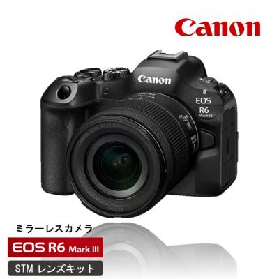 ふるさと納税 国東市 [Canon]キヤノン ミラーレス カメラ EOS R6 MarkIII STMレンズキット_0061C