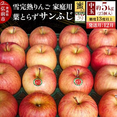 ふるさと納税 弘前市 りんご サンふじ[家庭用]約5kg(25個)中玉 蜜入り 先行受付|24_yuk-240501a