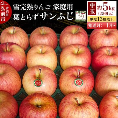 ふるさと納税 弘前市 りんご サンふじ[家庭用]約5kg(25個)中玉 先行受付|24_yuk-240501b