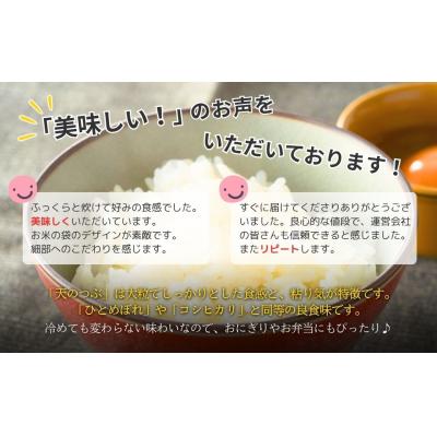 ふるさと納税 南相馬市 パックご飯 パックごはん 天のつぶ 72食 ( 150g×72個 ) | ad002-ac |  | 02