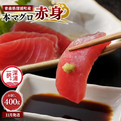 ふるさと納税 深浦町 青森県深浦町産 天然本マグロ 赤身 400g 200g×2 冷凍柵
