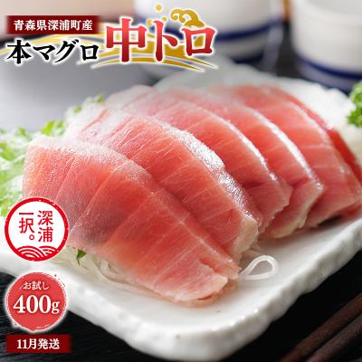 ふるさと納税 深浦町 青森県深浦町産 天然本マグロ 中トロ 400g 200g×2 冷凍柵