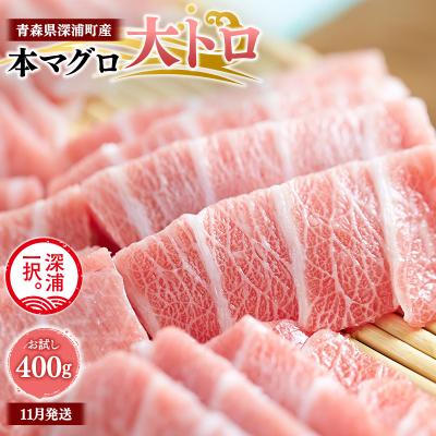 ふるさと納税 深浦町 青森県深浦町産 天然本マグロ 大トロ 400g 200g×2 冷凍柵