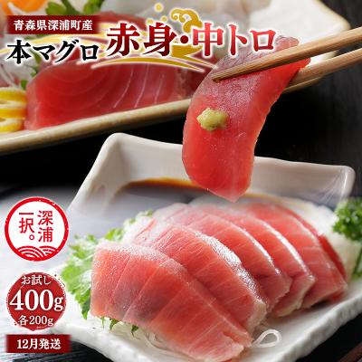 ふるさと納税 深浦町 天然本マグロ 赤身 中トロ 400g 各200g 青森県深浦町産 冷凍柵
