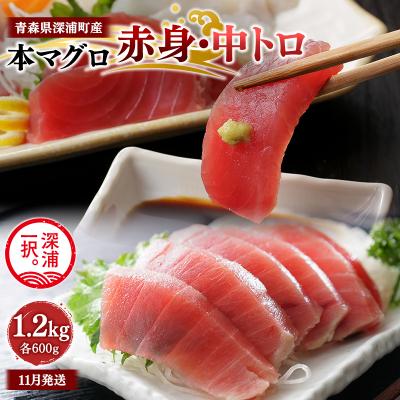 ふるさと納税 深浦町 青森県深浦町産 天然本マグロ 赤身 中トロ1.2kg 各600g 冷凍柵
