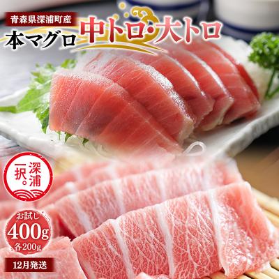 ふるさと納税 深浦町 天然本マグロ 中トロ 大トロ 400g 各200g 青森県深浦町産 冷凍柵