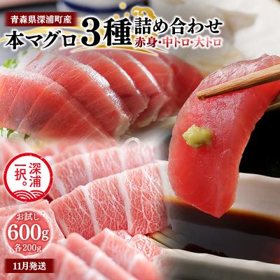 ふるさと納税 深浦町 青森県深浦町産 天然本マグロ 3種食べ比べ 600g 各200g 赤身 中トロ 大トロ 冷凍柵