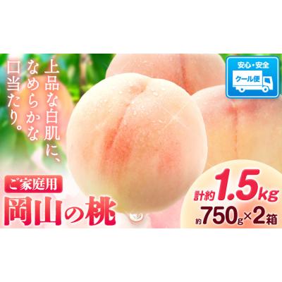 ふるさと納税 笠岡市 最短翌日発送!岡山の桃 約750g×2箱 [1-5営業日出荷] 岡山 笠岡 白桃 おすそわけ