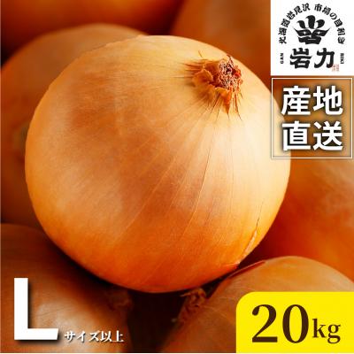 ふるさと納税 岩見沢市 北海道岩見沢産たまねぎ 20kg[a142-009]