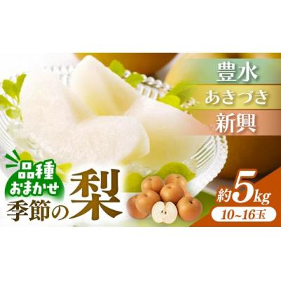 ふるさと納税 筑前町 <品種おまかせ>季節の梨 約5kg(10〜16玉入り) 豊水 秋月 新興