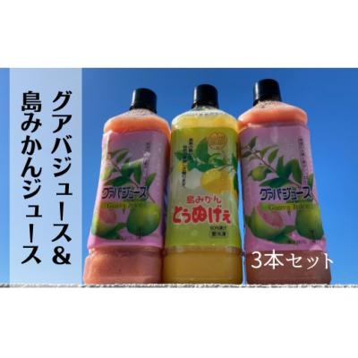 ふるさと納税 伊仙町 グァバ&amp;島みかんジュース 3本セット
