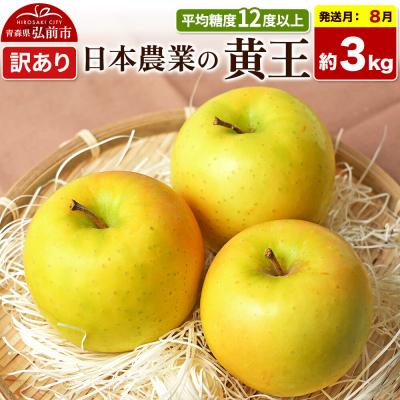 ふるさと納税 弘前市 [26年8月クール便発送]りんご 黄王 約3kg[訳あり]|24_nng-030301ac